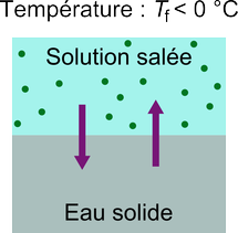 Équilibre liquide-solide d'une solution salée