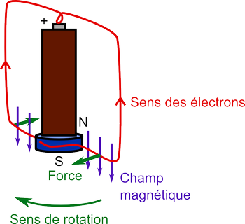 Forces de Lorentz dans un moteur homopolaire avec fil libre
