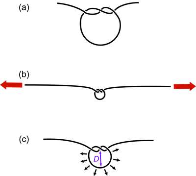 Mesure du diamètre d'un nœud simple