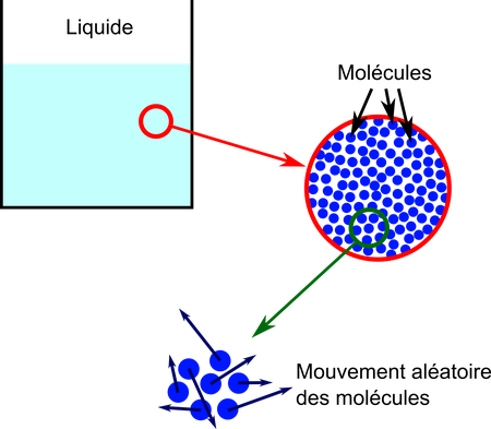Description moléculaire d'un liquide