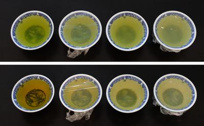 Évolution de la couleur du thé vert avec le temps