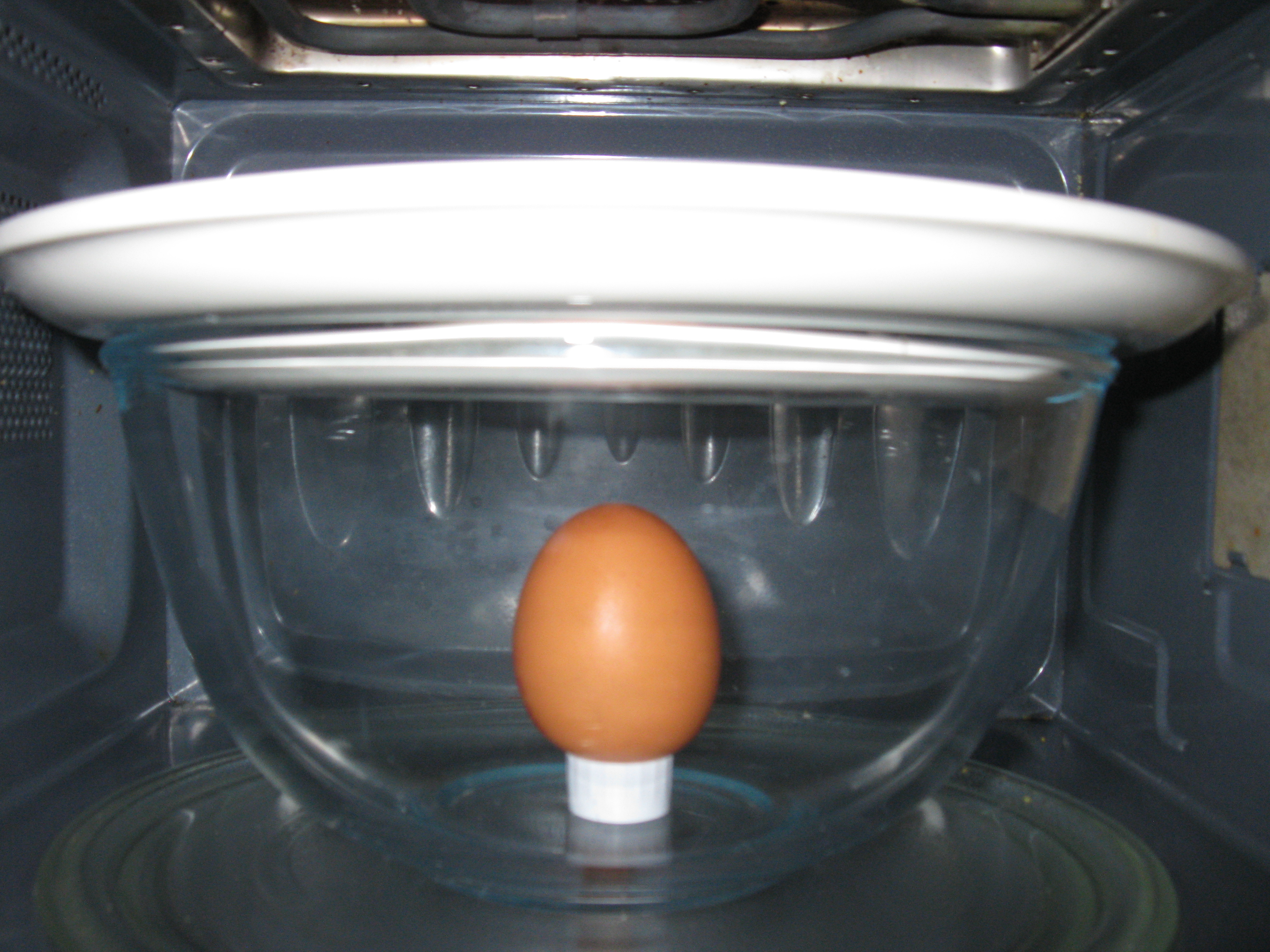 L'œuf au micro-onde